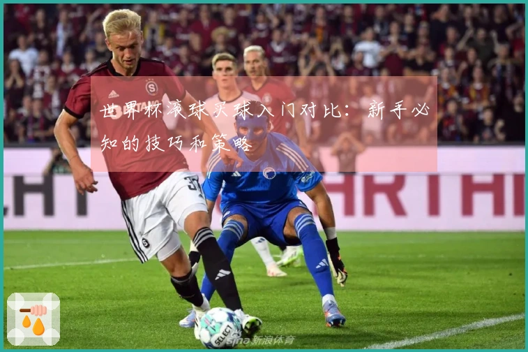世界杯滚球买球入门对比：新手必知的技巧和策略
