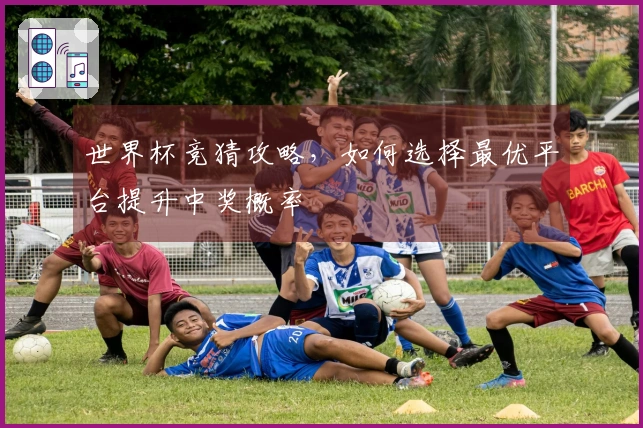 世界杯竞猜攻略，如何选择最优平台提升中奖概率