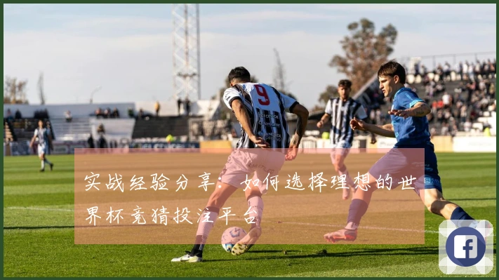 实战经验分享：如何选择理想的世界杯竞猜投注平台