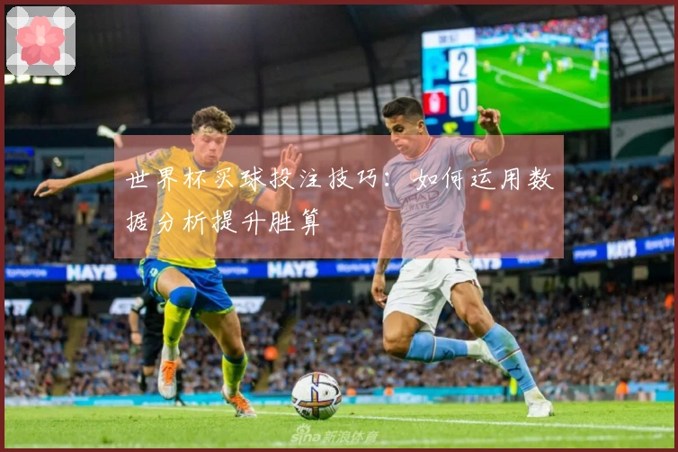 世界杯买球投注技巧：如何运用数据分析提升胜算