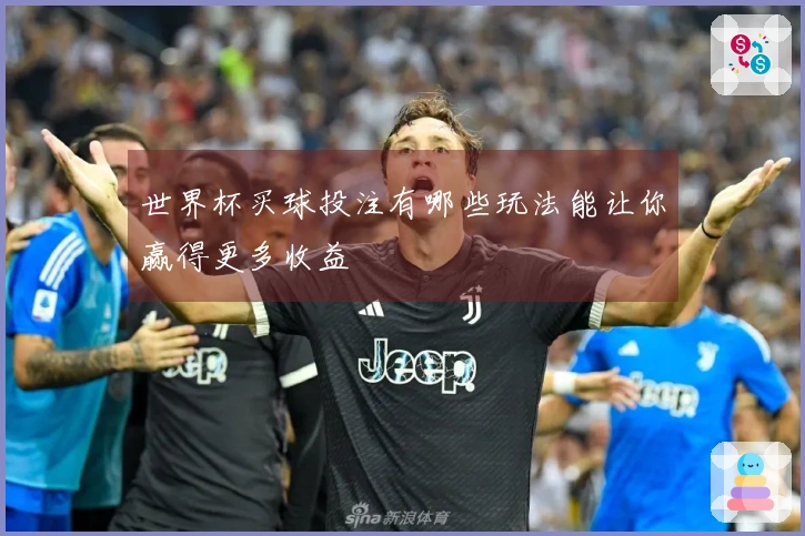 世界杯买球投注有哪些玩法能让你赢得更多收益