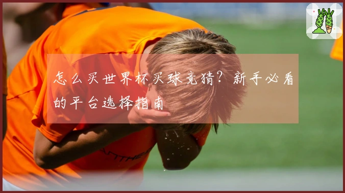 怎么买世界杯买球竞猜？新手必看的平台选择指南
