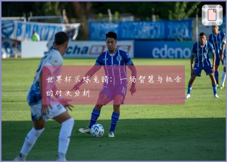 世界杯买球竞猜：一场智慧与机会的对决分析