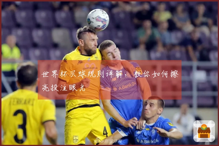 世界杯买球规则详解，教你如何擦亮投注眼光