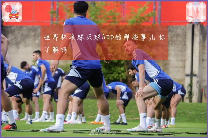 世界杯滚球买球App的那些事儿 你了解吗