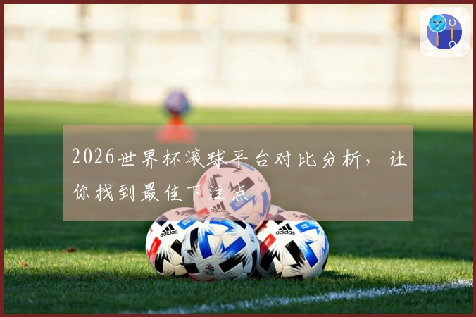 2026世界杯滚球平台对比分析，让你找到最佳下注点