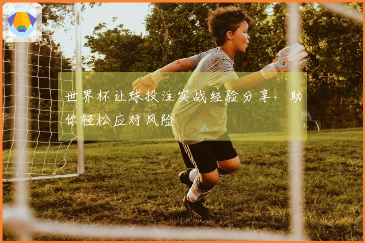 世界杯让球投注实战经验分享，助你轻松应对风险