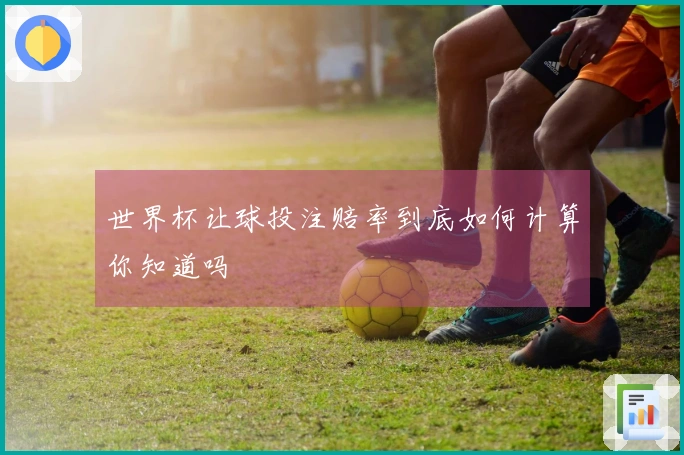 世界杯让球投注赔率到底如何计算你知道吗