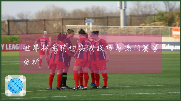 世界杯竞猜的实战技巧与热门赛事分析