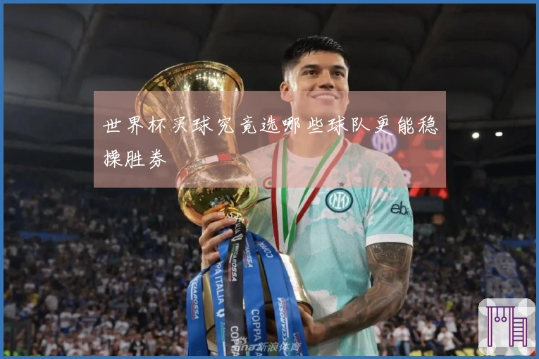 世界杯买球究竟选哪些球队更能稳操胜券