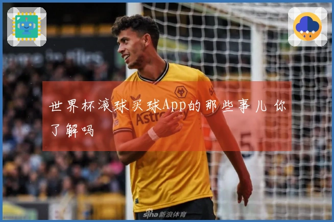 世界杯滚球买球App的那些事儿 你了解吗