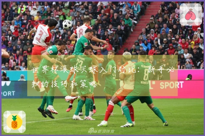 世界杯滚球买球入门对比：新手必知的技巧和策略