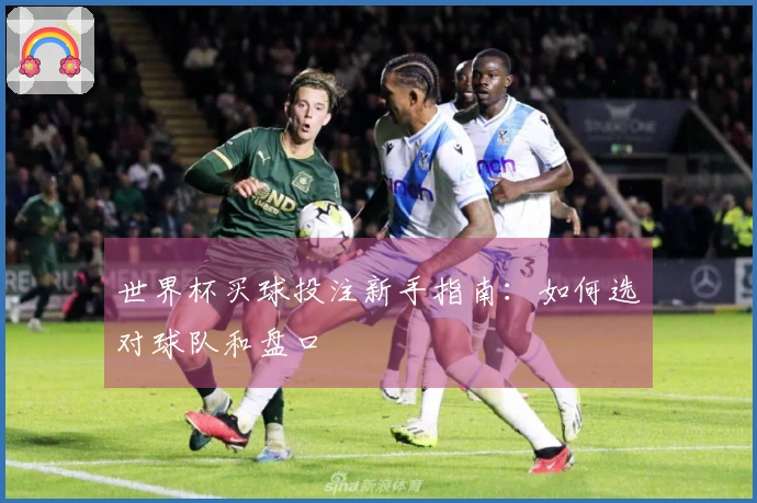 世界杯买球投注新手指南：如何选对球队和盘口