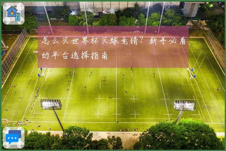 怎么买世界杯买球竞猜？新手必看的平台选择指南